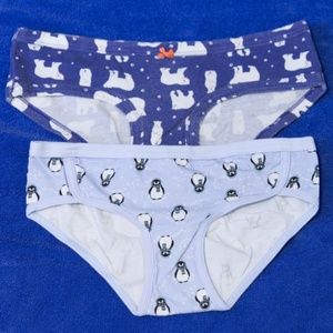 2 Pair Women's Aerie Holiday Briefs  - Medium